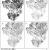 Obr. 2 z publikace: Jak jednotlivé modely předpovídají vhodné habitaty pro sýkoru parukářku (A = GARP; B = HSI; C = IDRISI; D = MAXENT)).