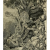 Obrázek 1. Rozrušování staré zdi kořeny stromu v ruinách Mayského města Kabah (Mexiko).